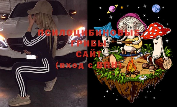 ешки Абинск